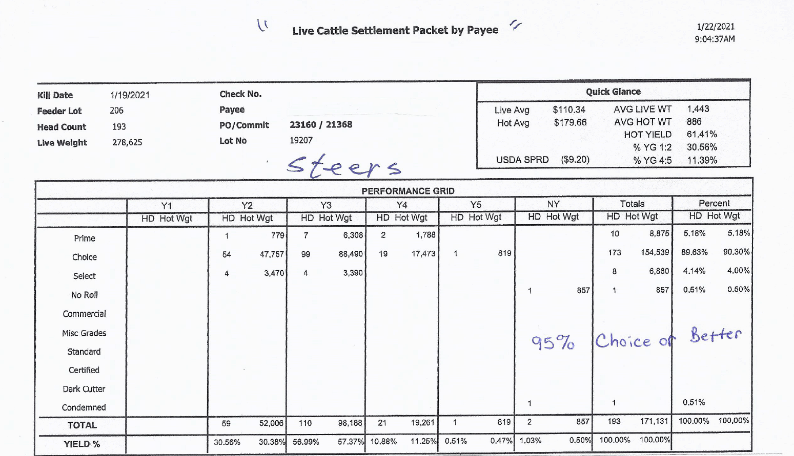 Steer Results